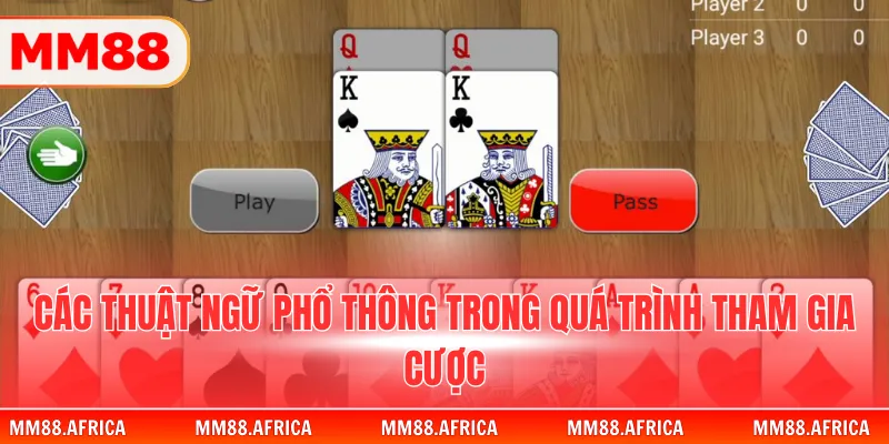 Tiến Lên Miền Nam – Luật Chơi Cơ Bản Và Thuật Ngữ Cần Biết 4 Các thuật ngữ phổ thông trong quá trình tham gia cược