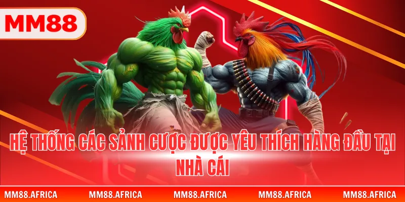 Hệ thống các sảnh cược được yêu thích hàng đầu tại nhà cái