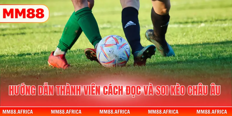 Soi Kèo Châu Âu Tại MM88 Chi Tiết Để Bắt Đầu Kiếm Thưởng 3 Hướng dẫn thành viên cách đọc và soi kèo châu Âu
