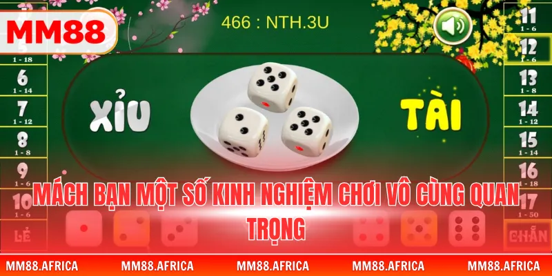 Game Tài Xỉu – Trò Chơi Dự Đoán Kết Quả Hấp Dẫn Tại MM88 4 Mách bạn một số kinh nghiệm chơi vô cùng quan trọng