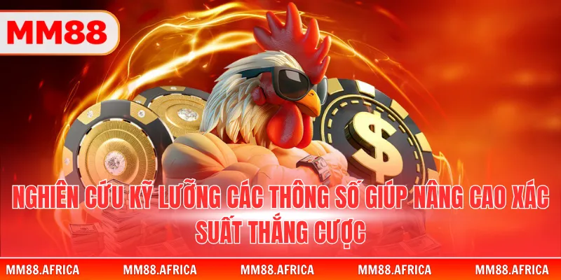 Soi Kèo Đá Gà - Cẩm Nang Phân Tích Các Trận Đấu 2026 2 Nghiên cứu kỹ lưỡng các thông số giúp nâng cao xác suất thắng cược