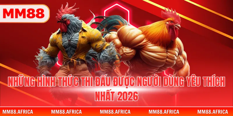 Những hình thức thi đấu được người dùng yêu thích nhất 2026