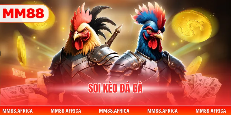 Soi Kèo Đá Gà - Cẩm Nang Phân Tích Các Trận Đấu 2026 1 Soi Kèo Đá Gà - Cẩm Nang Phân Tích Các Trận Đấu 2026