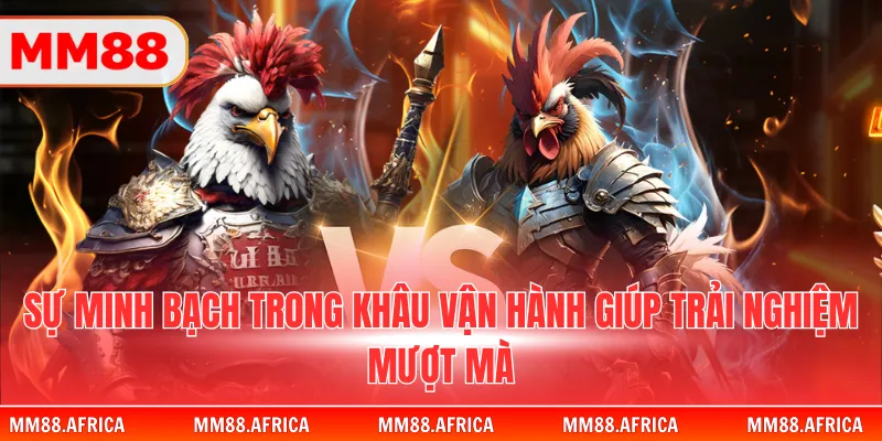 Đá Gà Cựa Sắt - Nghệ Thuật Chinh Phục Đấu Trường Thomo 4 Sự minh bạch trong khâu vận hành giúp trải nghiệm mượt mà